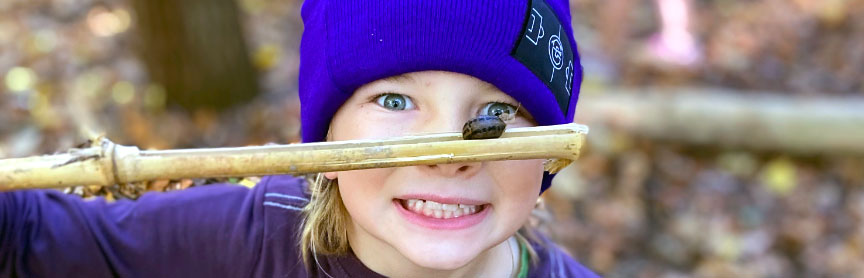 Forest School Newsletter: November 2024