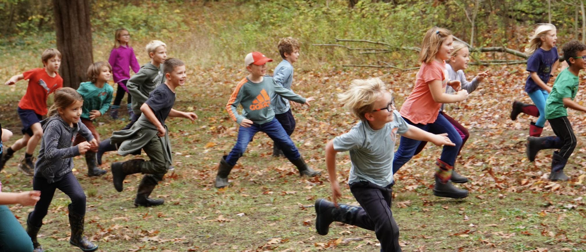 Forest School Newsletter: February 2024