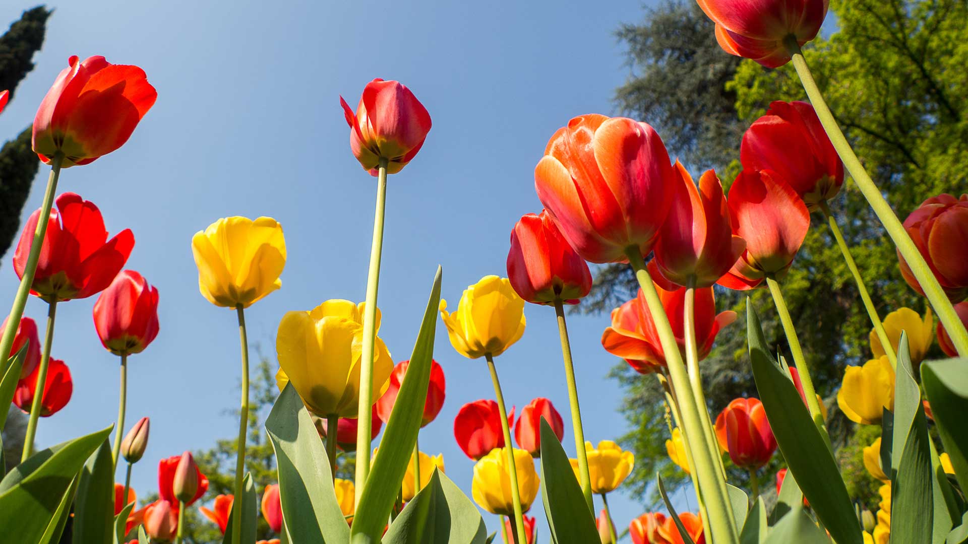 High School Newsletter: April 2026